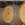A row of wooden wine barrels.